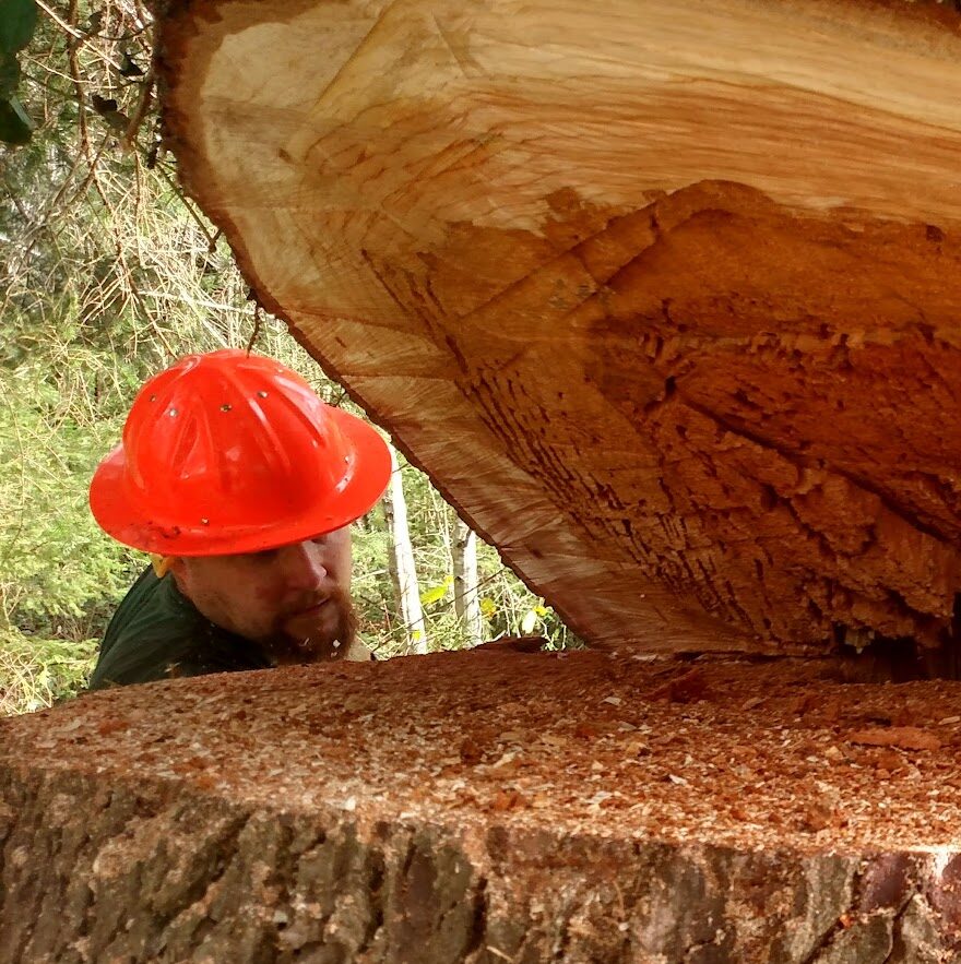 eric-tjossem-owner-cutting-edge-tree-service-eureka-ca